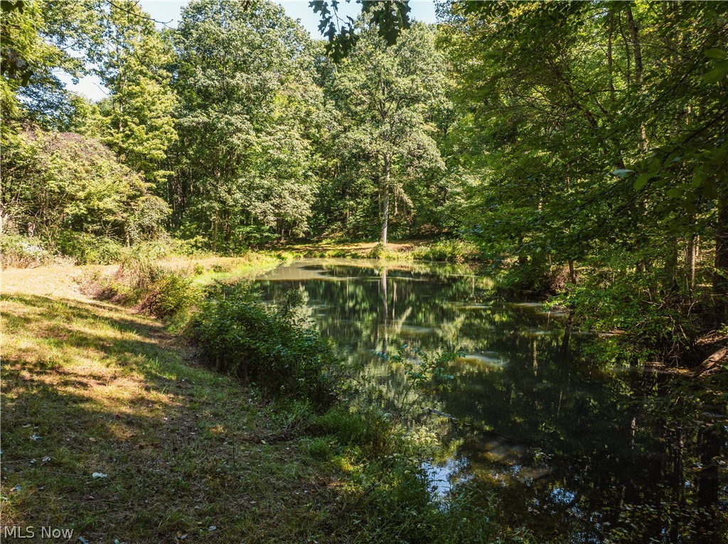10261 Fiat Road Stone Creek OH 43804