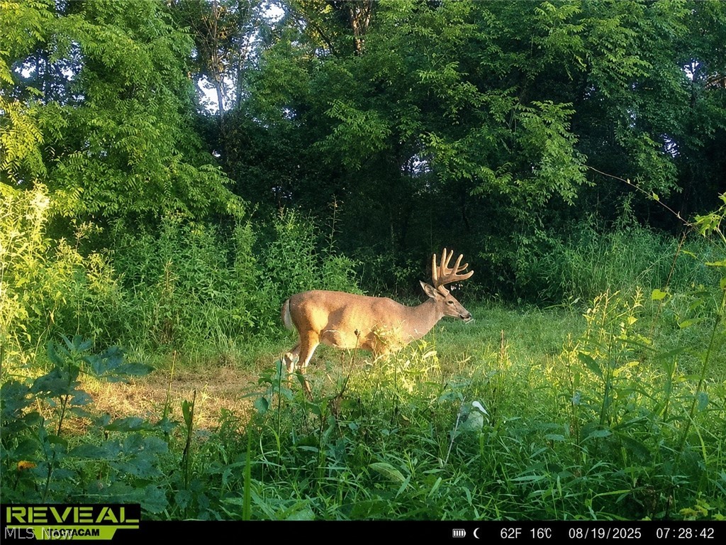 Taylor Road Cambridge OH 43725