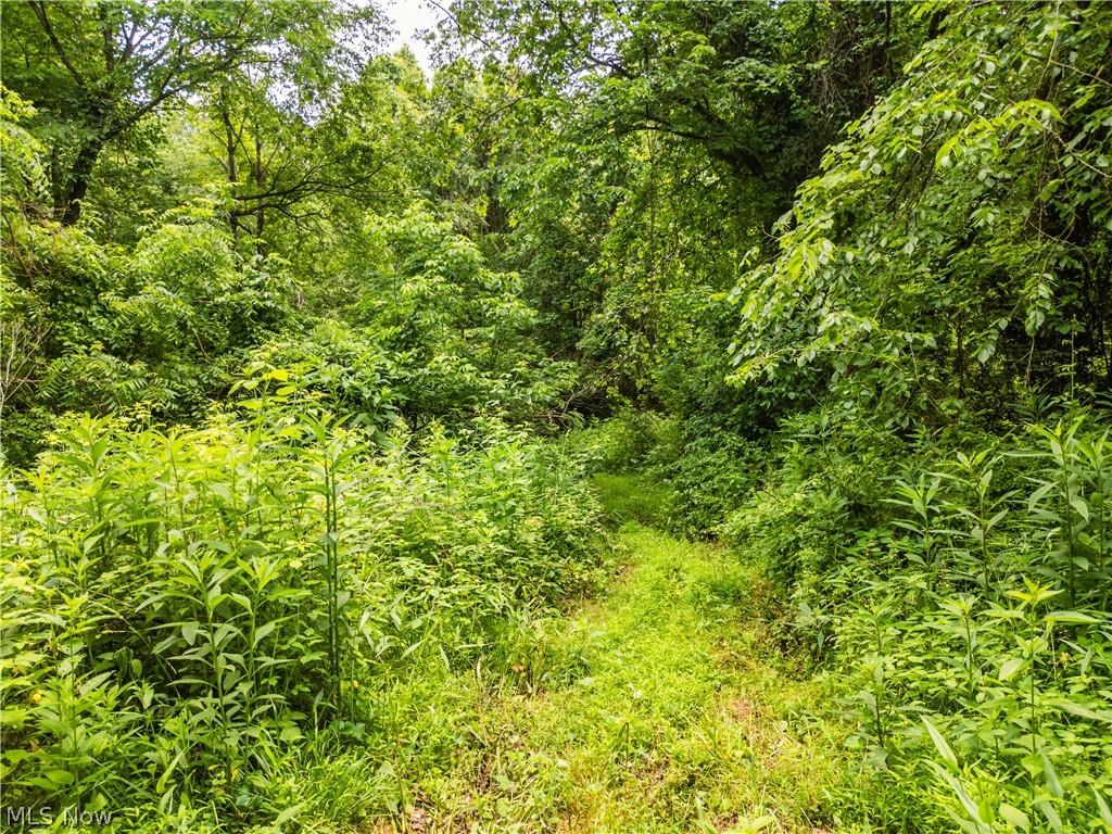 Taylor Road Cambridge OH 43725