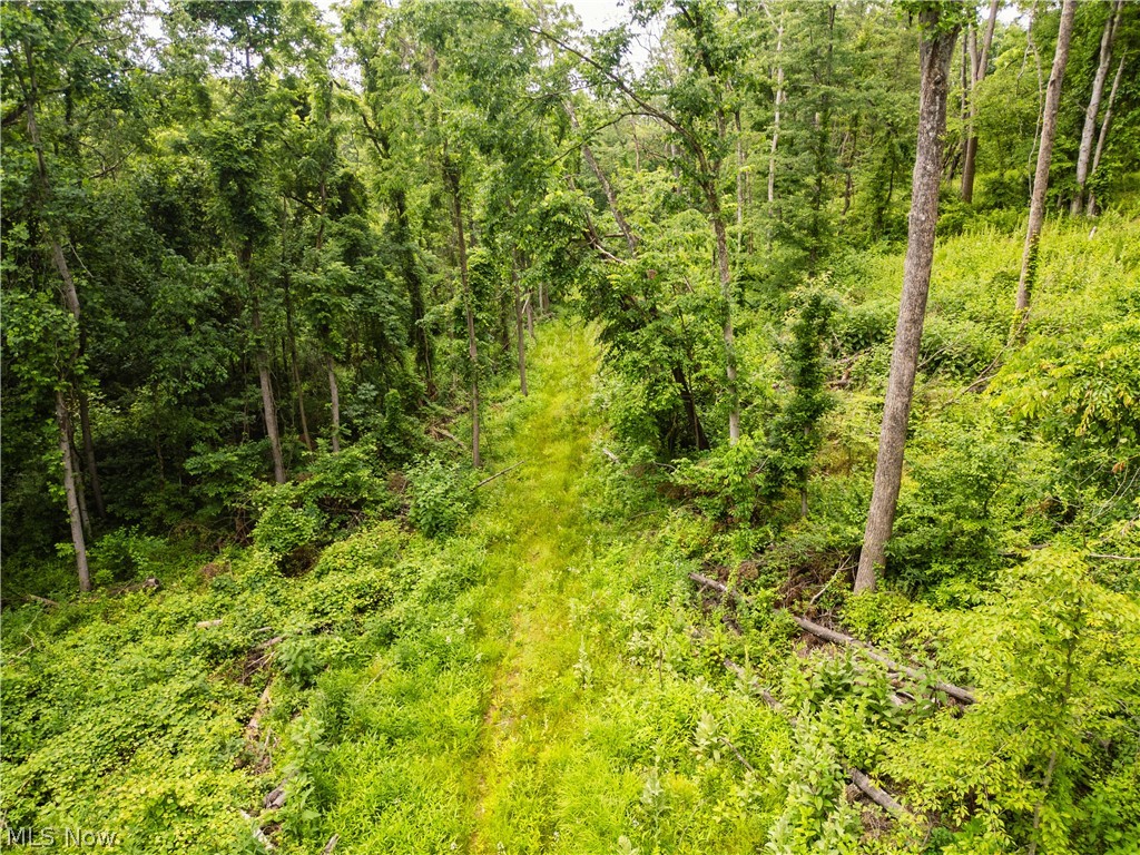 Taylor Road Cambridge OH 43725