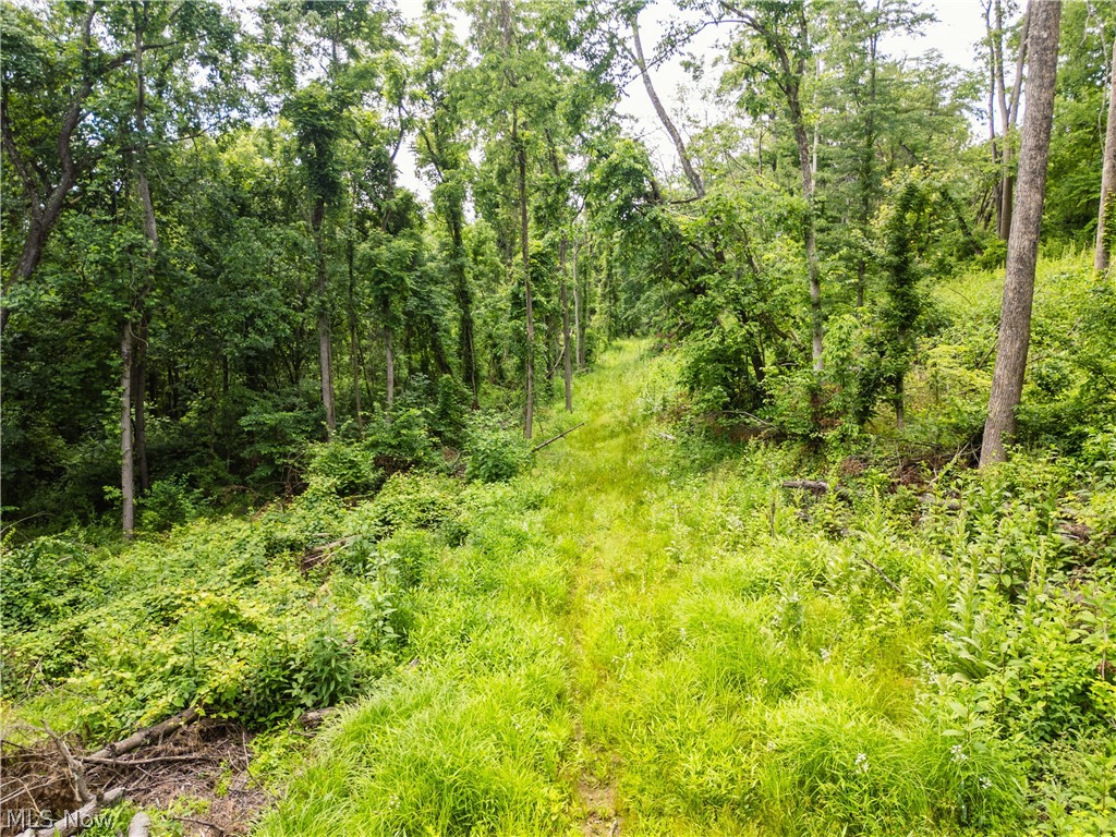 Taylor Road Cambridge OH 43725