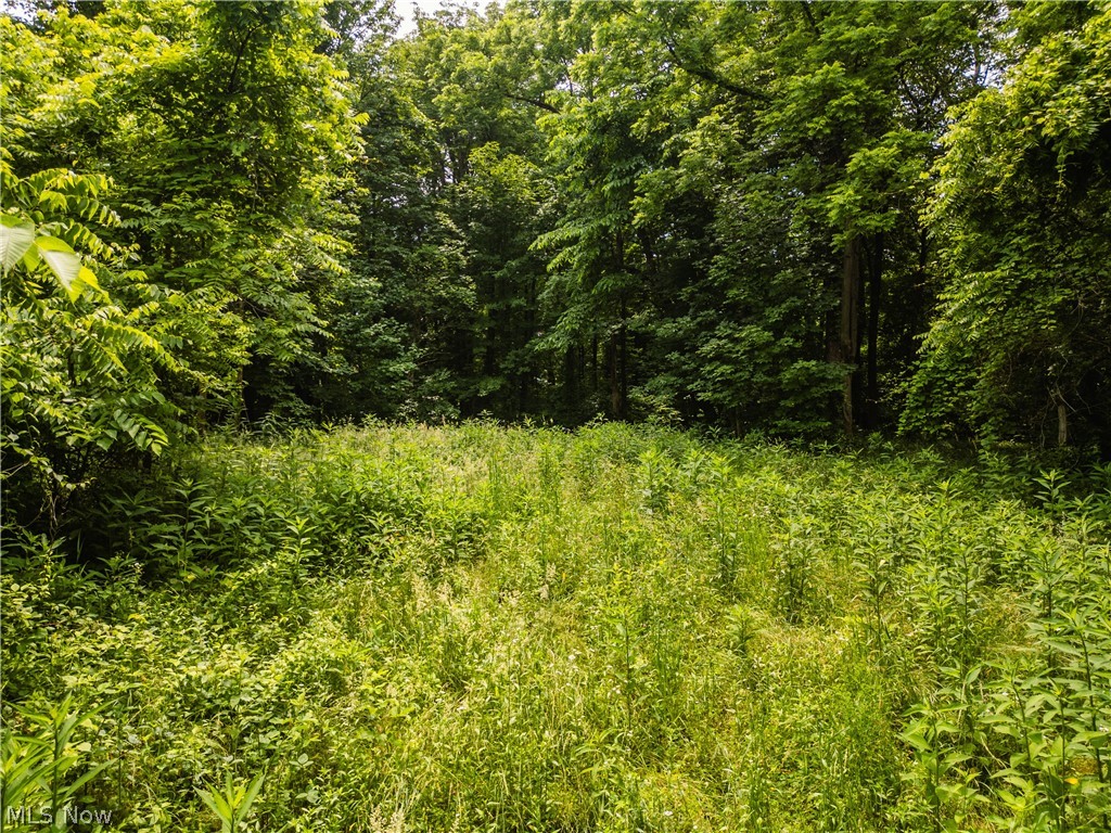 Taylor Road Cambridge OH 43725