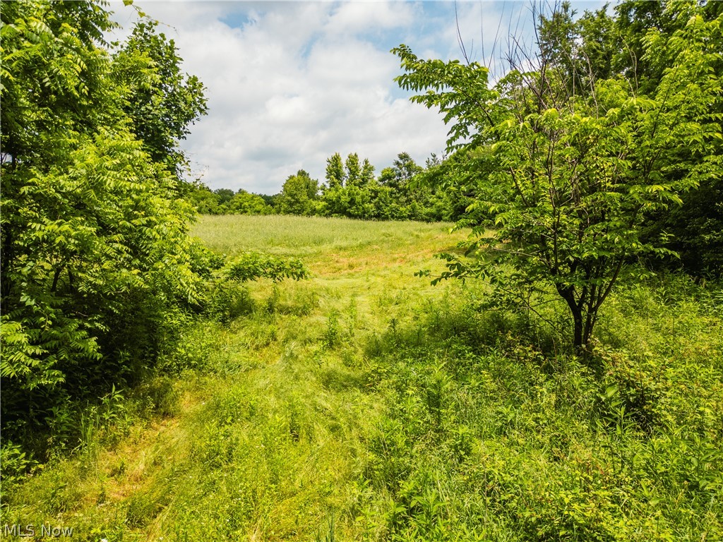 Taylor Road Cambridge OH 43725