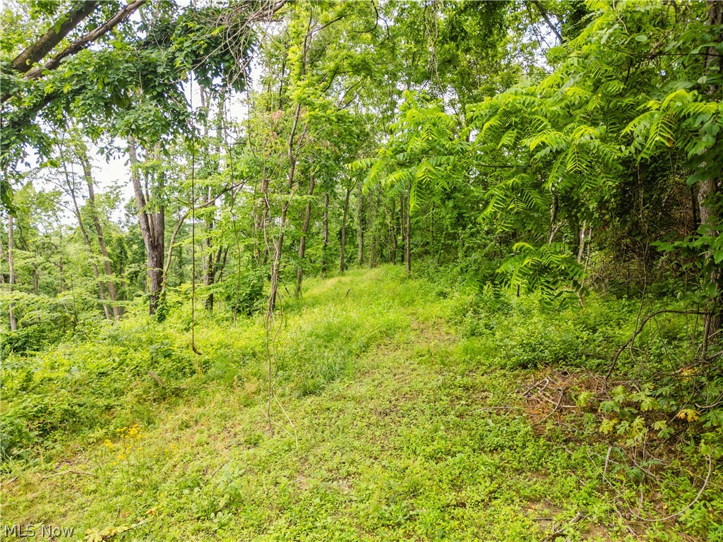 Taylor Road Cambridge OH 43725
