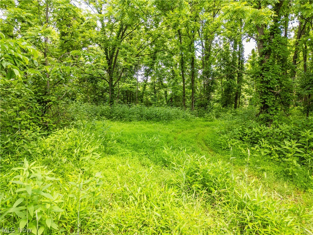 Taylor Road Cambridge OH 43725