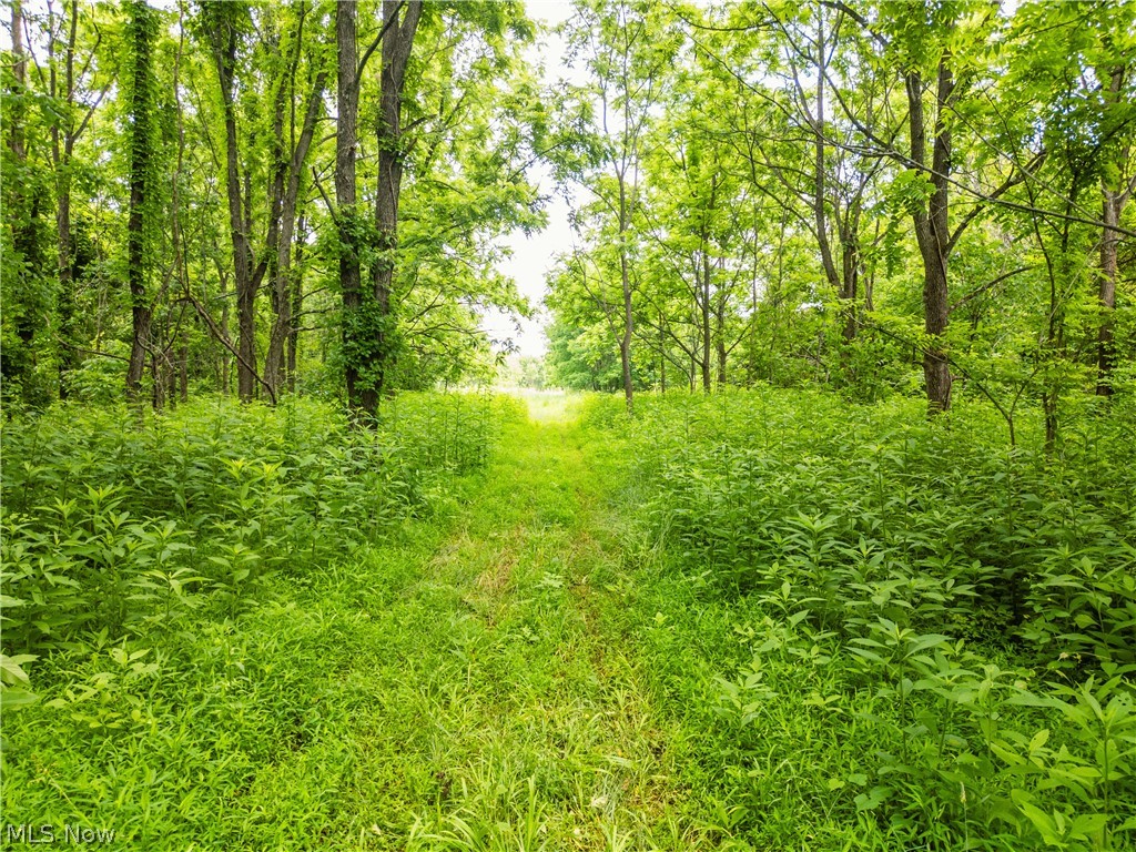Taylor Road Cambridge OH 43725