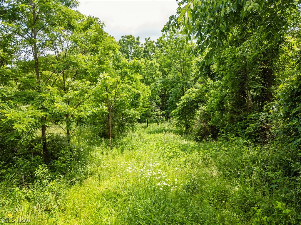 Taylor Road Cambridge OH 43725