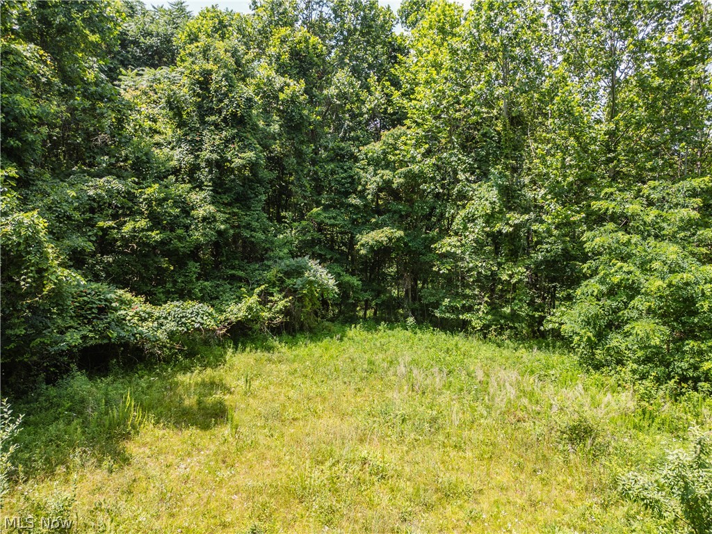 Lot 10 Township Road 51 Somerset OH 43783