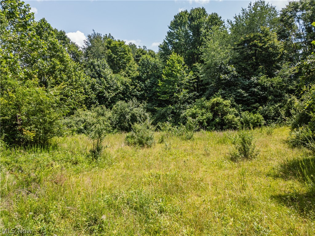 Lot 10 Township Road 51 Somerset OH 43783