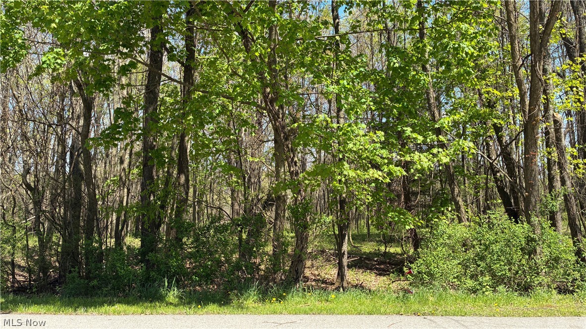 Mohican Trail Negley OH 44441