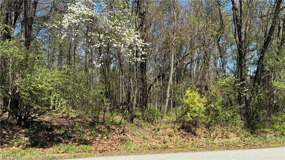 Mohican Trail Negley OH 44441