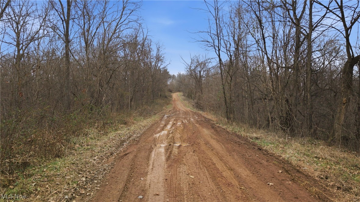 Putnam Drive Olive OH 45772