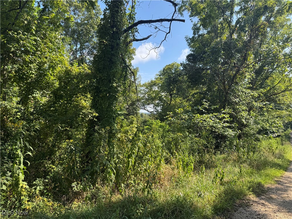 Putnam Drive Olive OH 45772