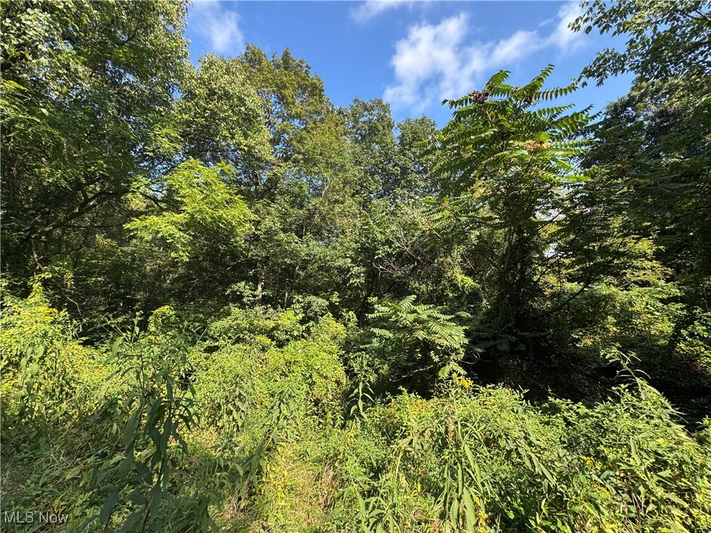 Putnam Drive Olive OH 45772
