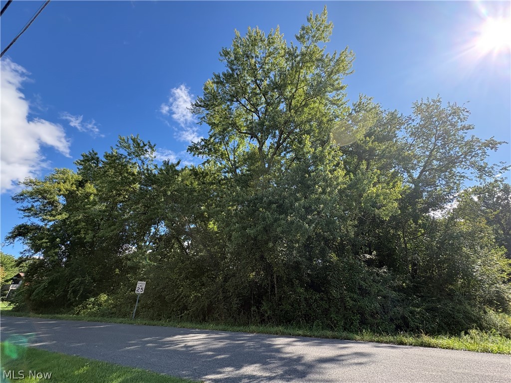 4051 Greenbay Drive Barberton OH 44203