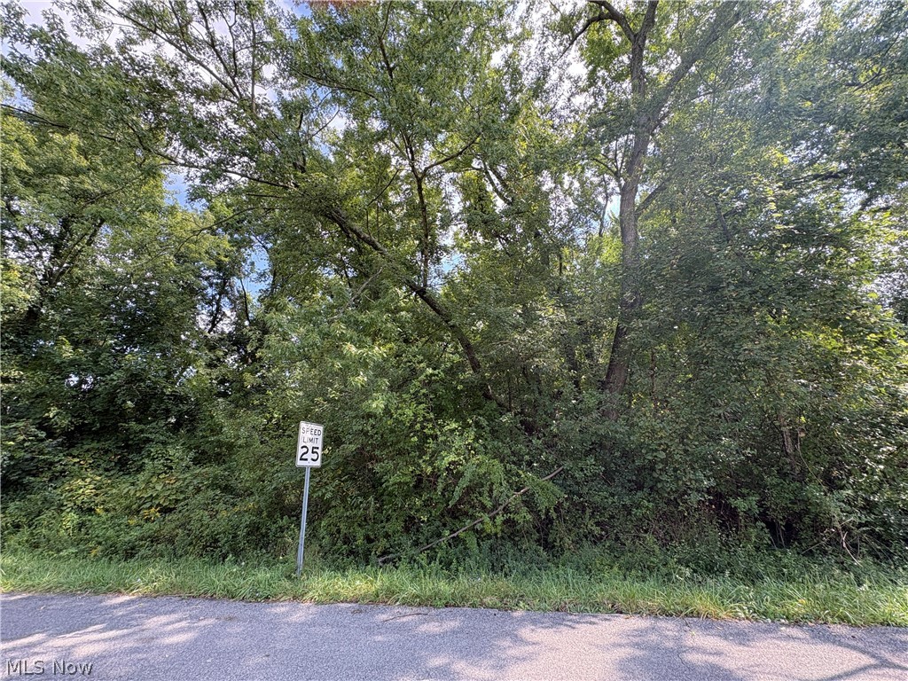 4051 Greenbay Drive Barberton OH 44203