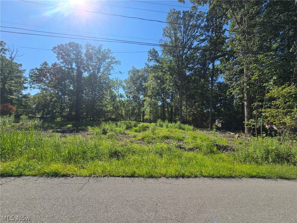 V/l Idlewood Avenue Sheffield Lake OH 44054
