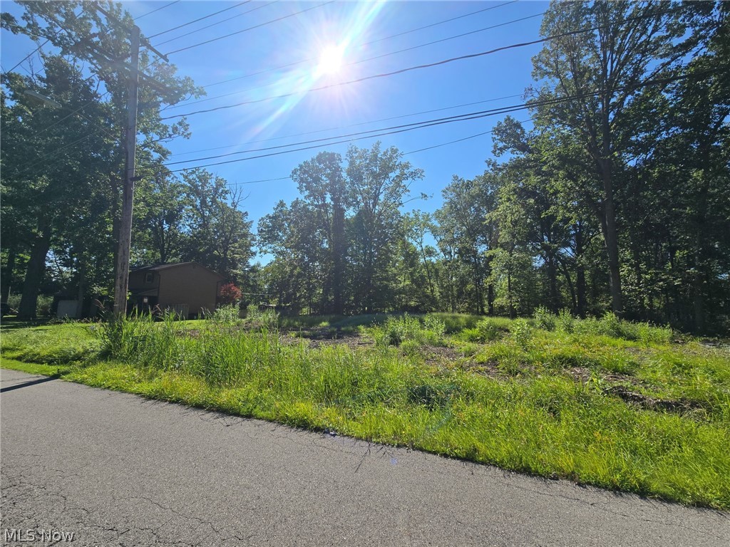 V/l Idlewood Avenue Sheffield Lake OH 44054