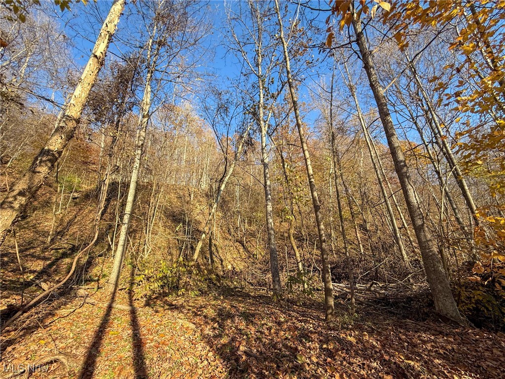 Deaver Road Mcconnelsville OH 43756
