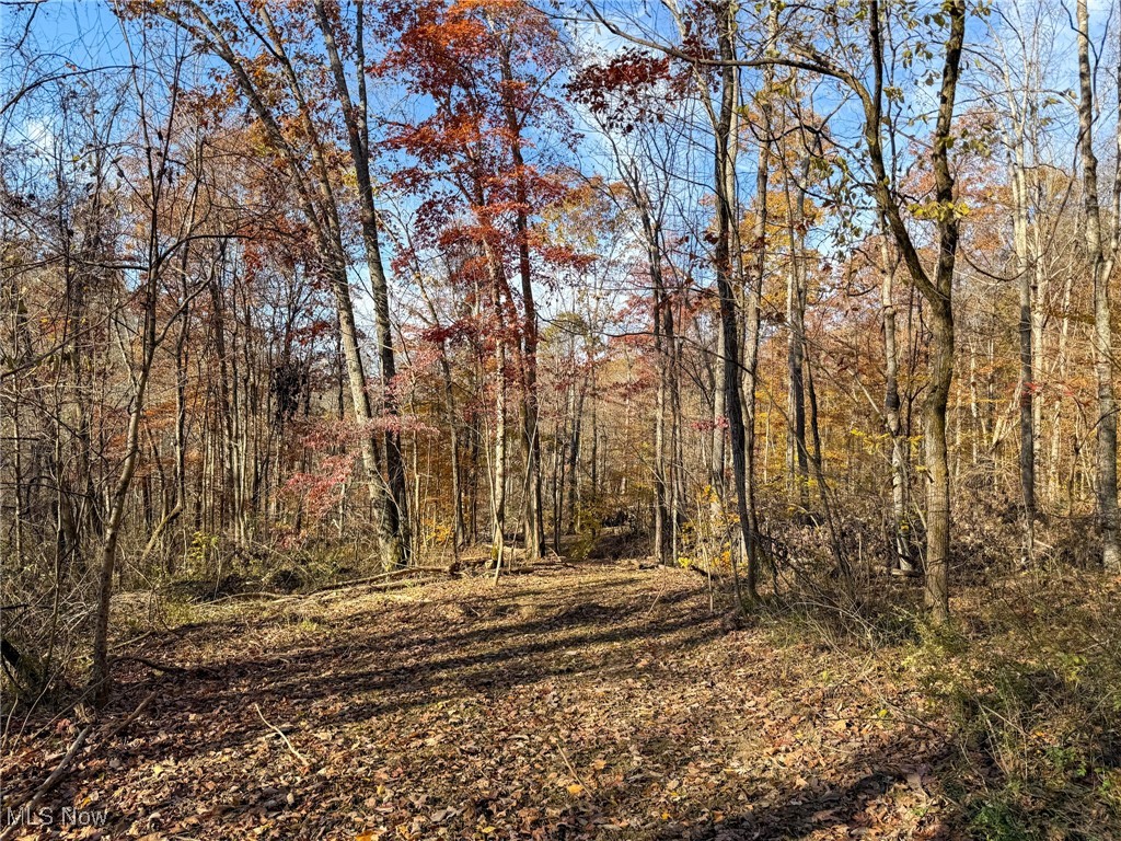 Deaver Road Mcconnelsville OH 43756