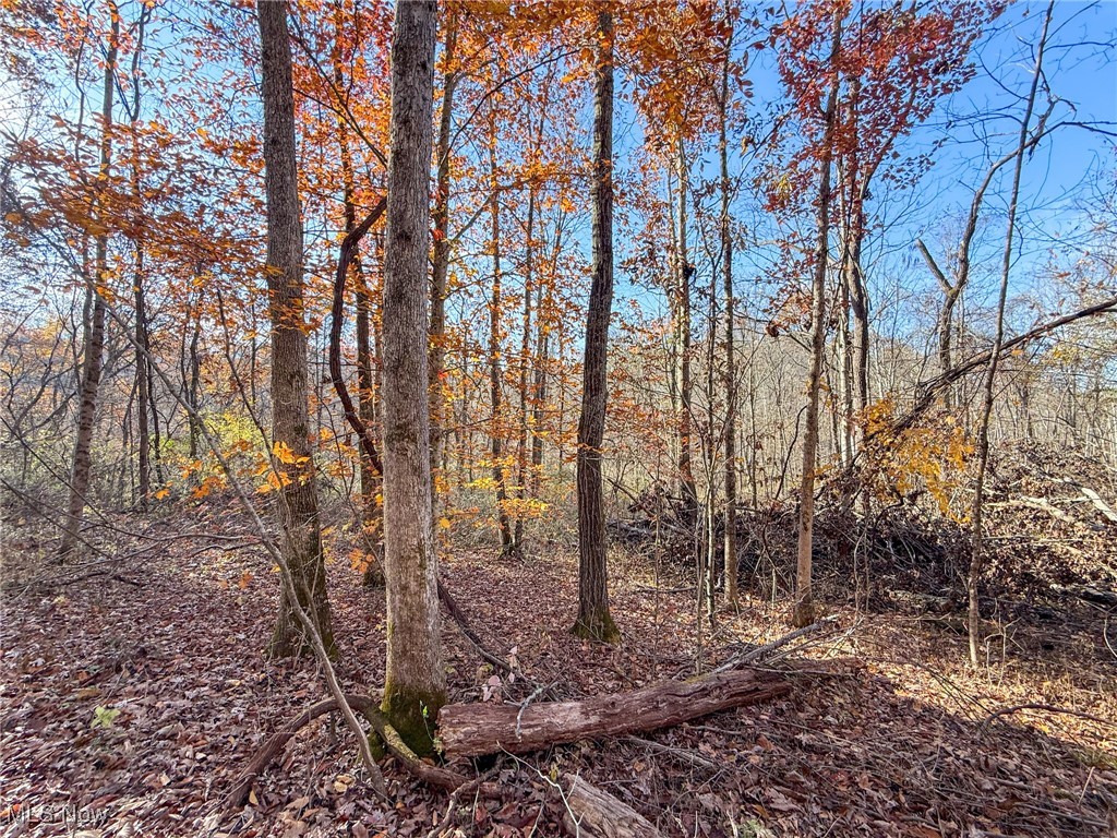 Deaver Road Mcconnelsville OH 43756