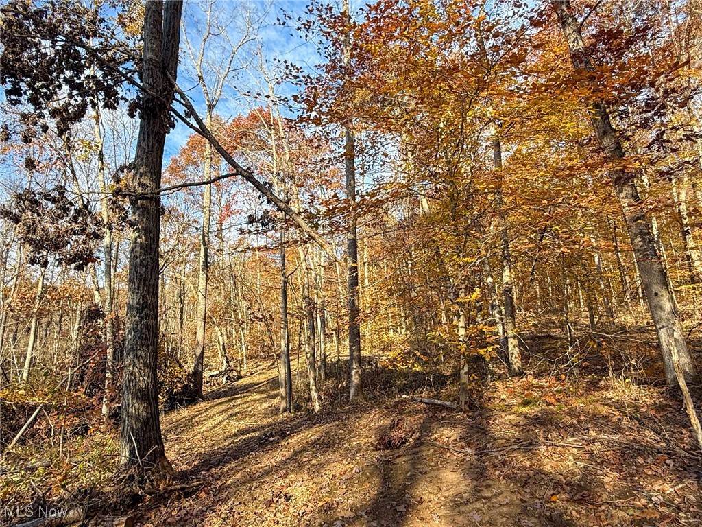 Deaver Road Mcconnelsville OH 43756