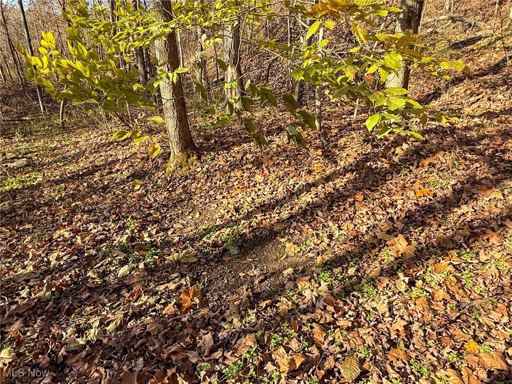Deaver Road Mcconnelsville OH 43756