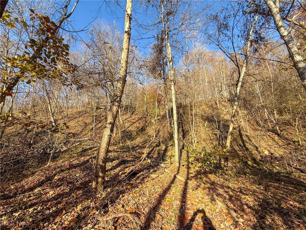 Deaver Road Mcconnelsville OH 43756