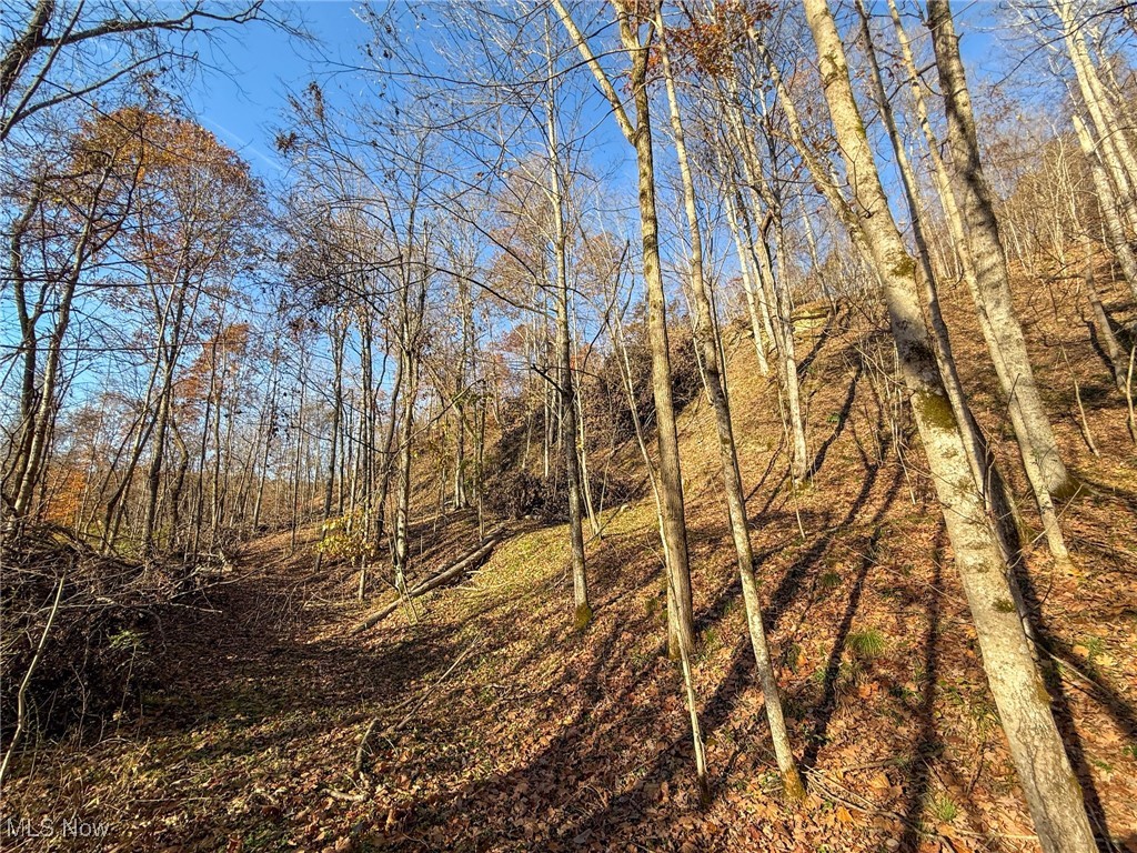 Deaver Road Mcconnelsville OH 43756