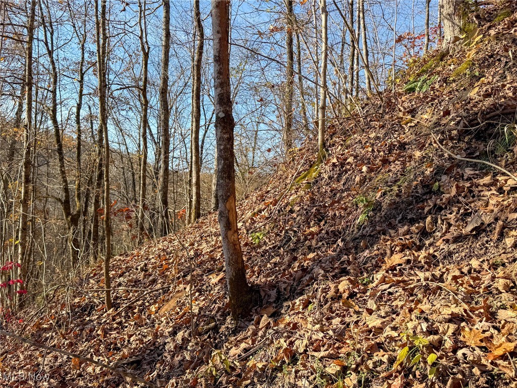 Deaver Road Mcconnelsville OH 43756