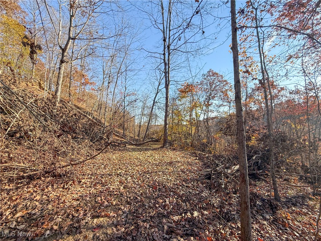 Deaver Road Mcconnelsville OH 43756