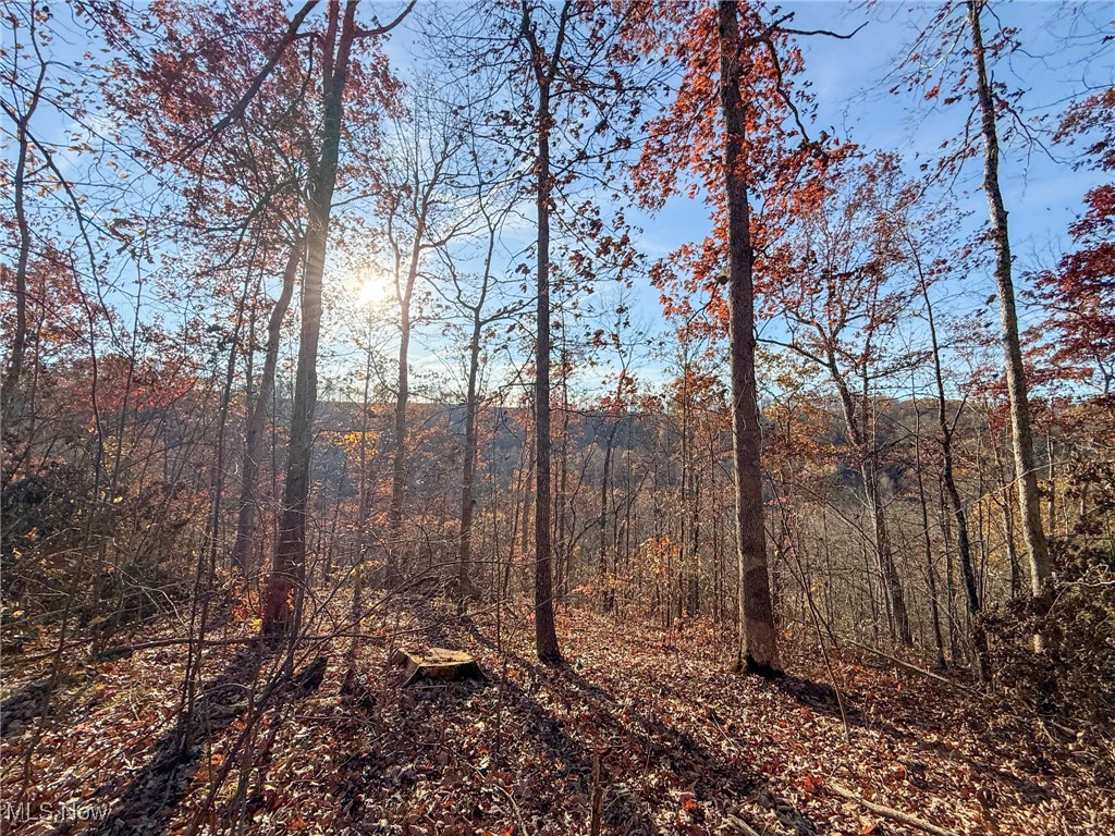 Deaver Road Mcconnelsville OH 43756