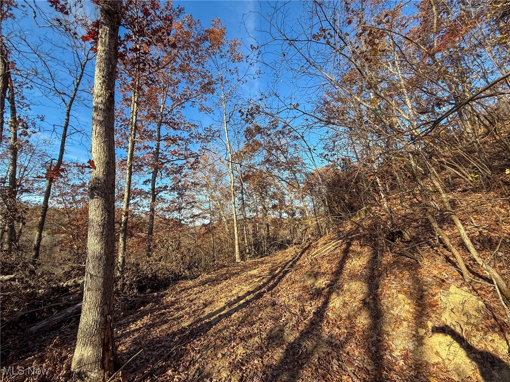 Deaver Road Mcconnelsville OH 43756