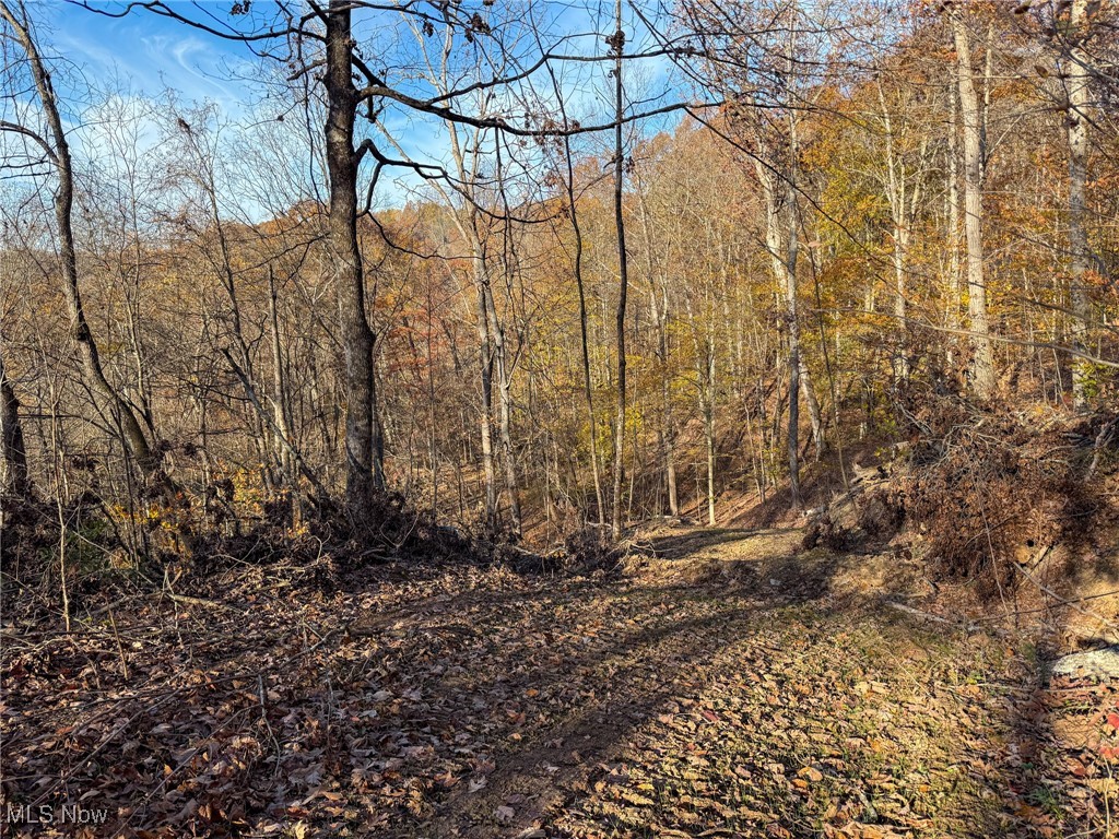 Deaver Road Mcconnelsville OH 43756