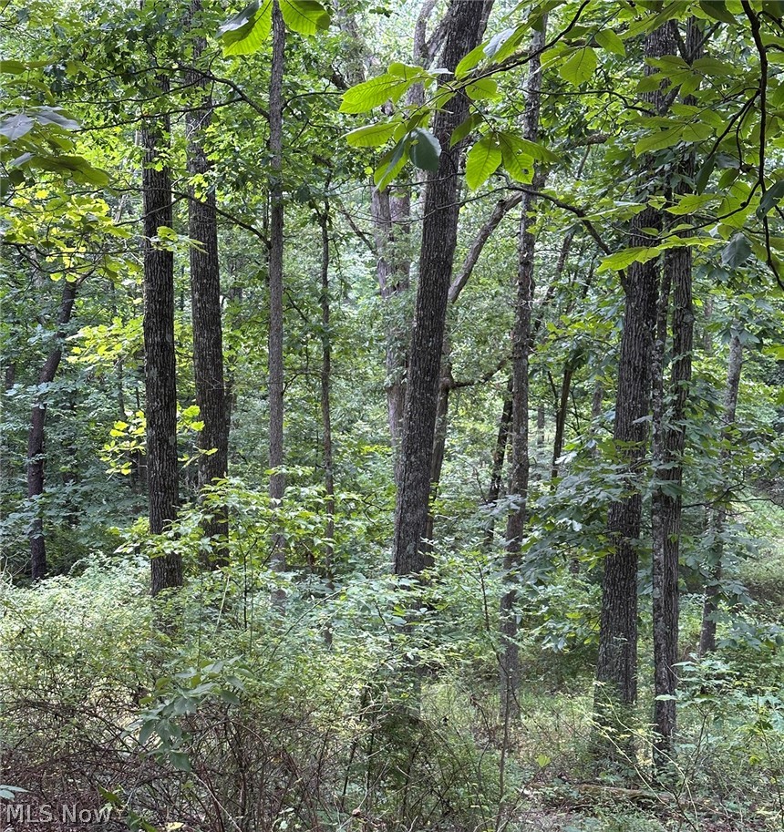 Luby Lane Zanesville OH 43701