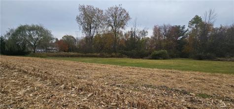 V/l State Route 18 Wellington OH 44090