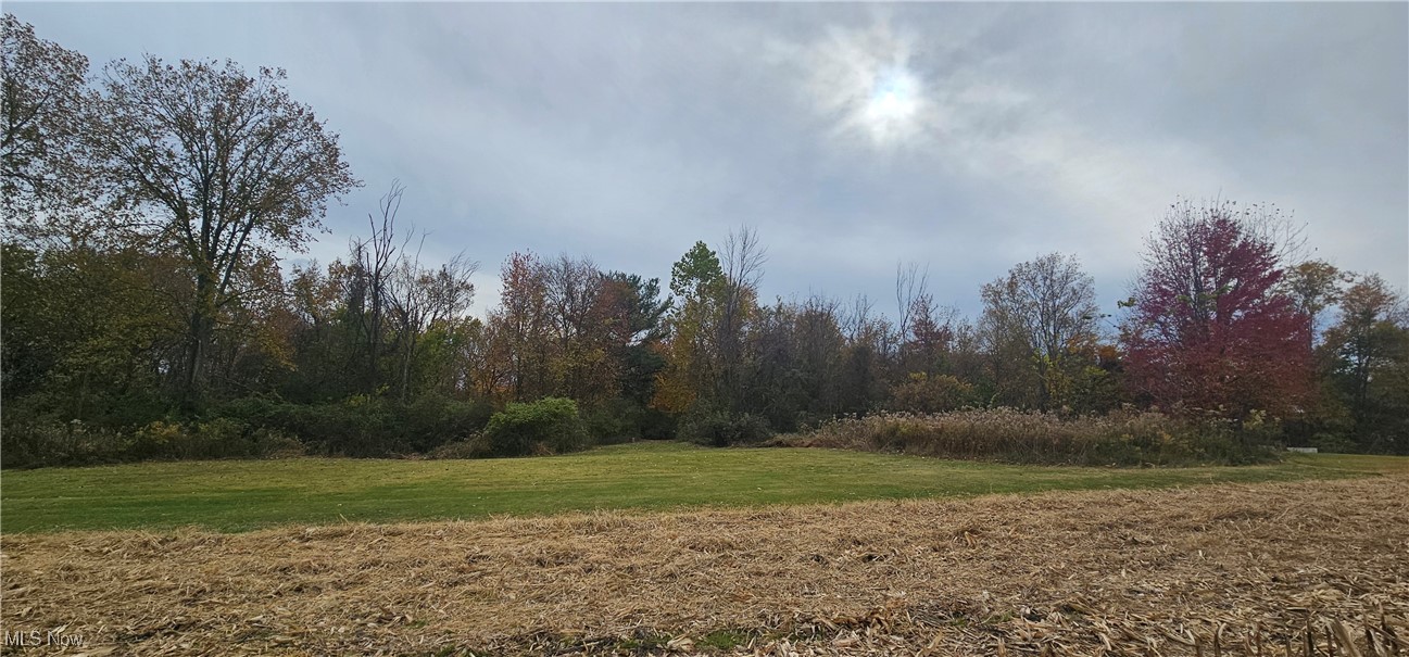 V/l State Route 18 Wellington OH 44090