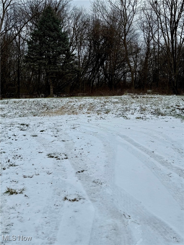 3028 Dearborn Street Youngstown OH 44510