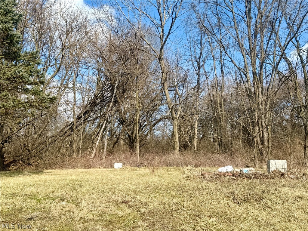 3028 Dearborn Street Youngstown OH 44510