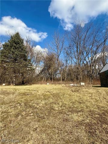 3028 Dearborn Street Youngstown OH 44510