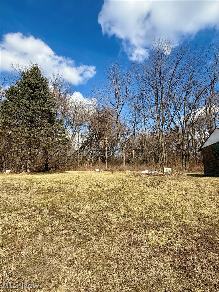 3028 Dearborn Street Youngstown OH 44510