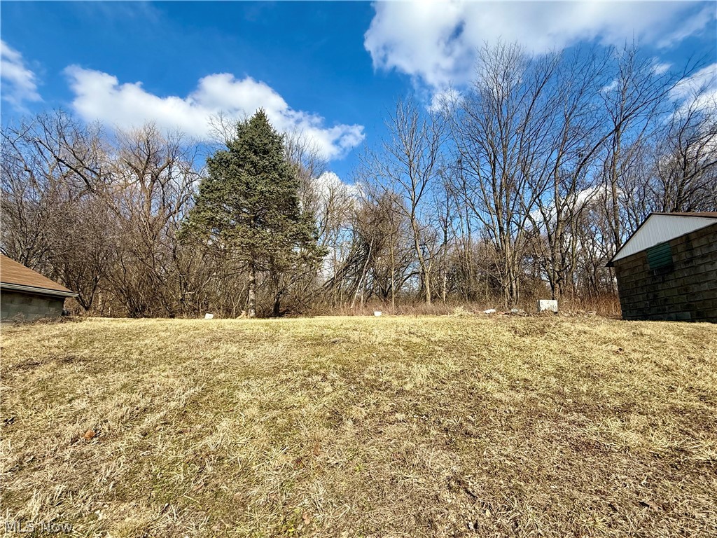 3028 Dearborn Street Youngstown OH 44510