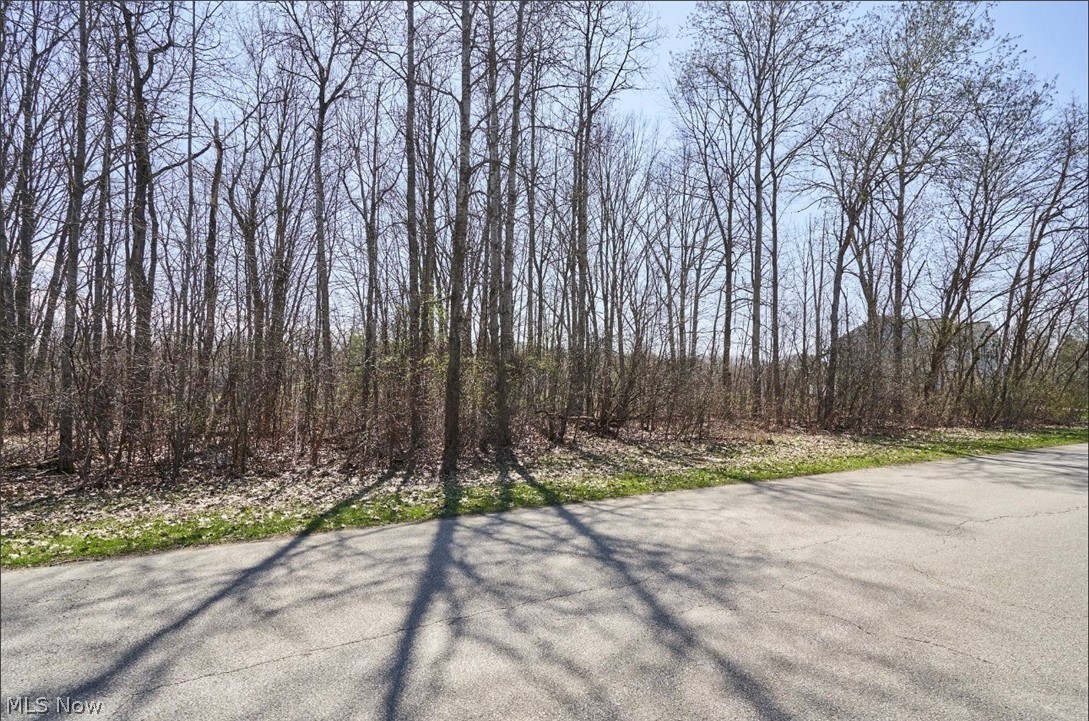 Callender Road Roaming Shores OH 44084