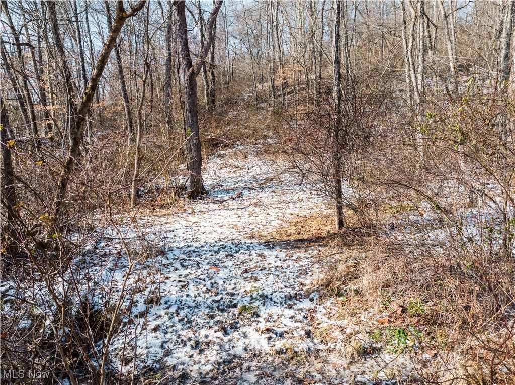 Clay Pike Chandlersville OH 43727
