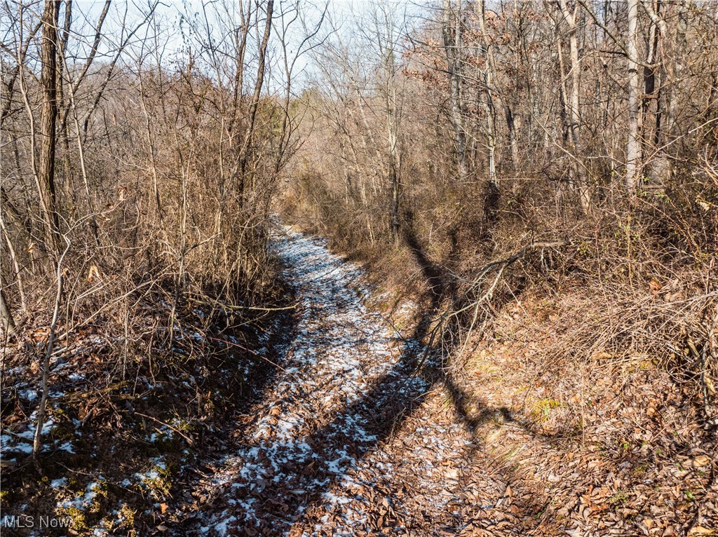 Clay Pike Chandlersville OH 43727