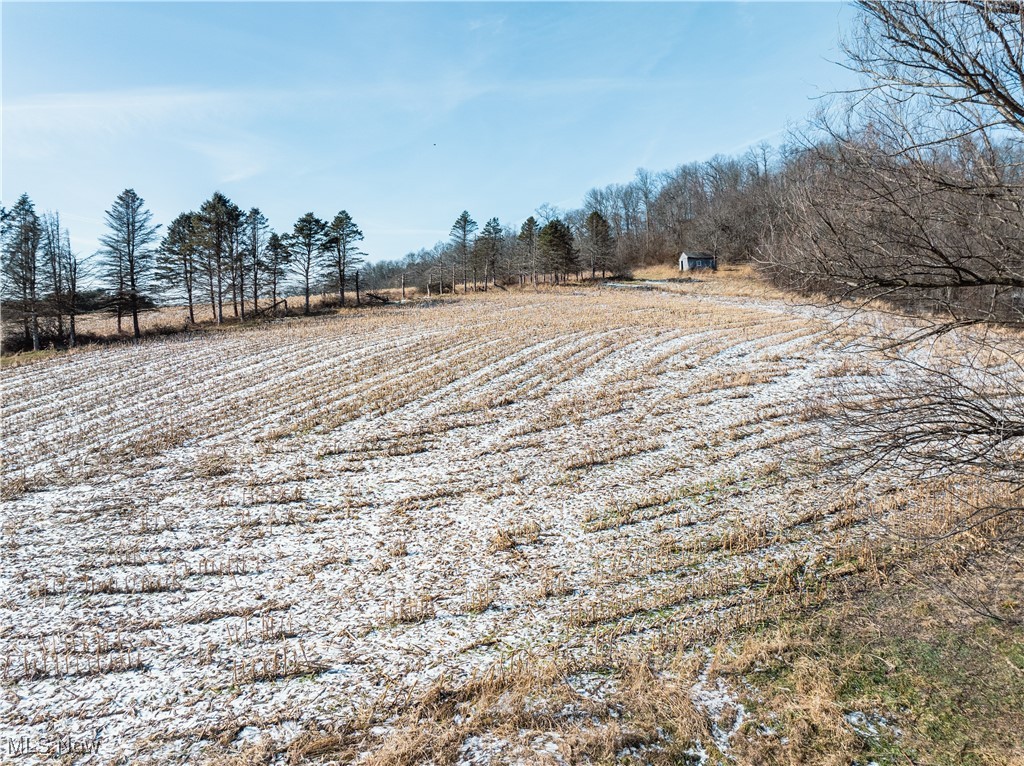 Clay Pike Chandlersville OH 43727