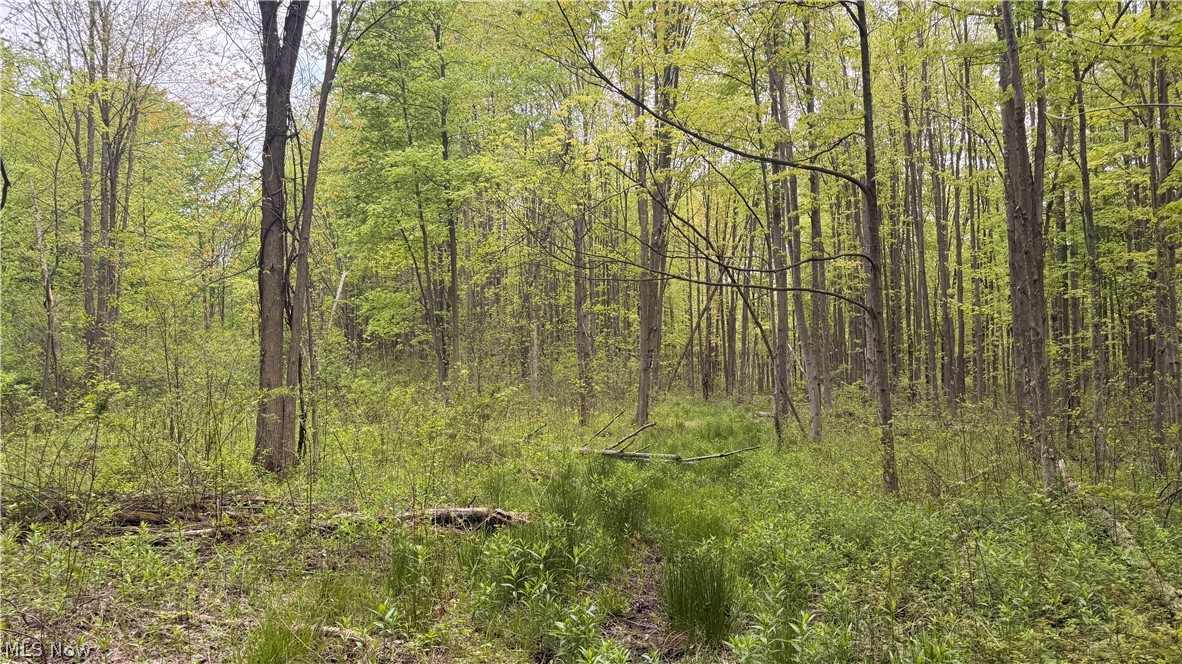 Munson Hill Road Ashtabula OH 44004