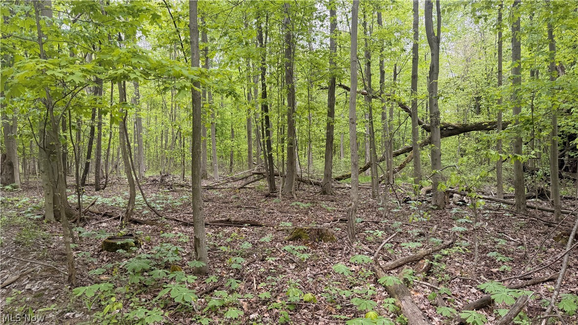 Munson Hill Road Ashtabula OH 44004