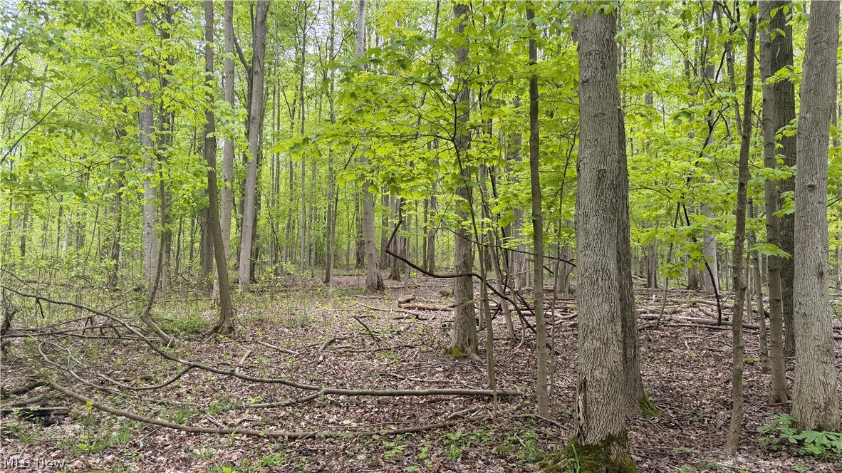Munson Hill Road Ashtabula OH 44004