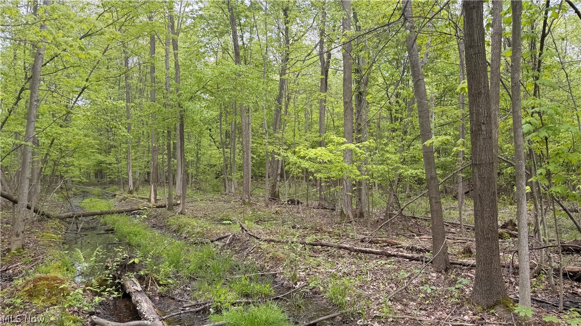 Munson Hill Road Ashtabula OH 44004